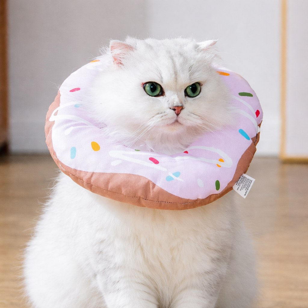 Chat portant une collerette donut anti-léchage rose