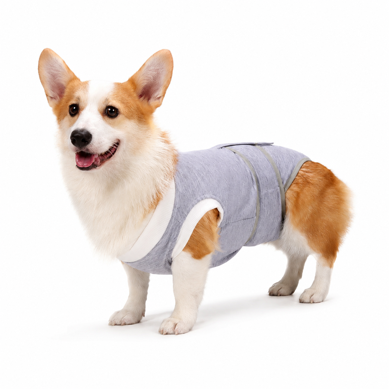 Body de Convalescence Respirant pour Chien – Anti-Léchage Post-Opératoire