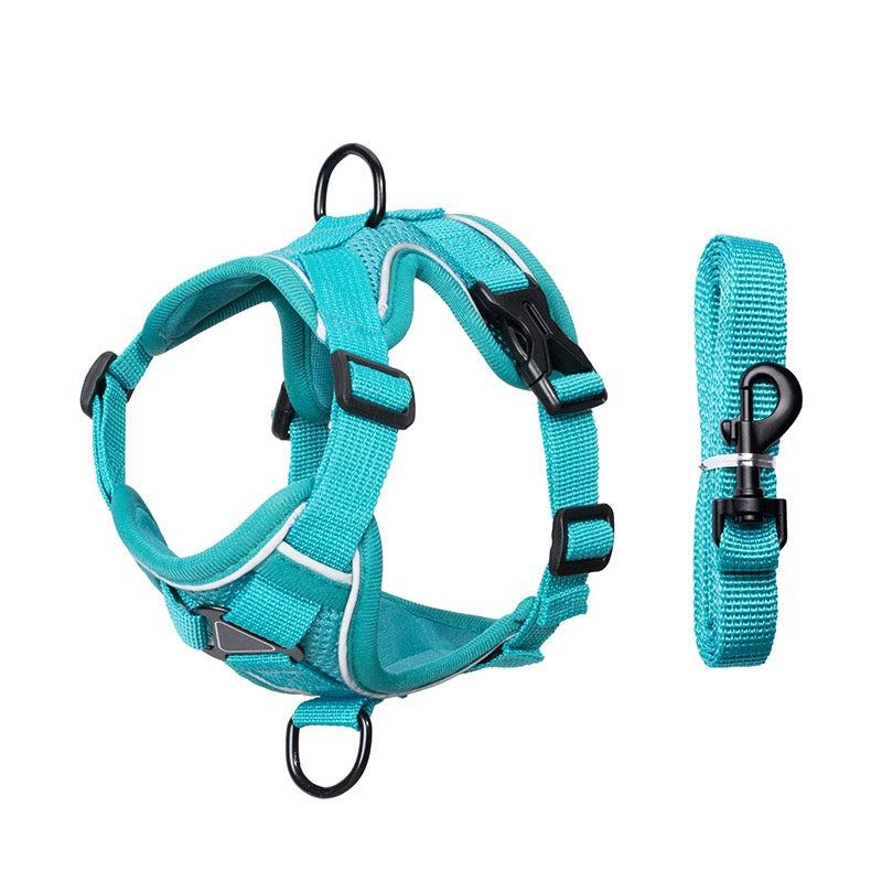 Harnais Réfléchissant Réglable pour Chien avec Laisse – Gilet de Sécurité Confortable Anti-Traction pour Promenade, Chiot et Petit Chien
