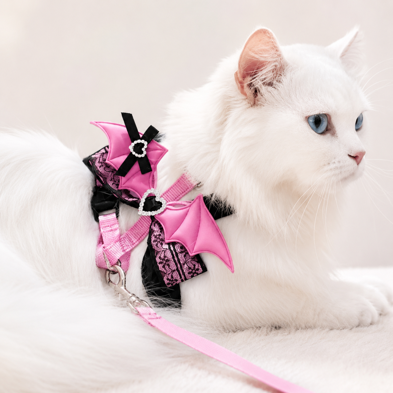 Chat blanc portant un harnais rose et noir avec ailes décoratives, dentelle et laisse assortie, présenté sur fond clair.