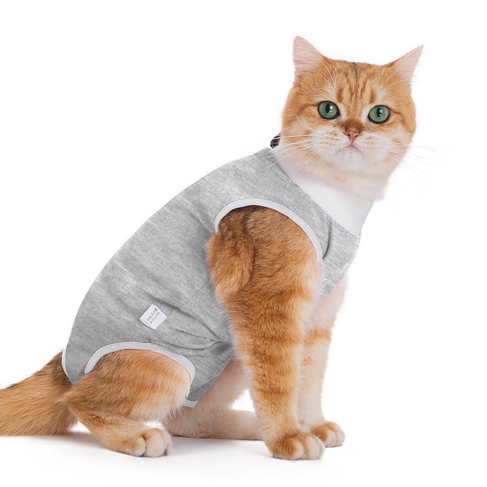 Body de convalescence gris pour chat et petit chien