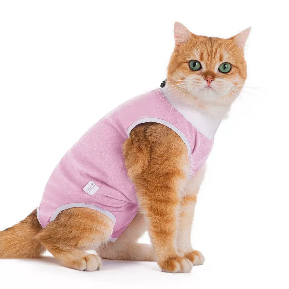 Body de convalescence rose uni pour chat et petit chien