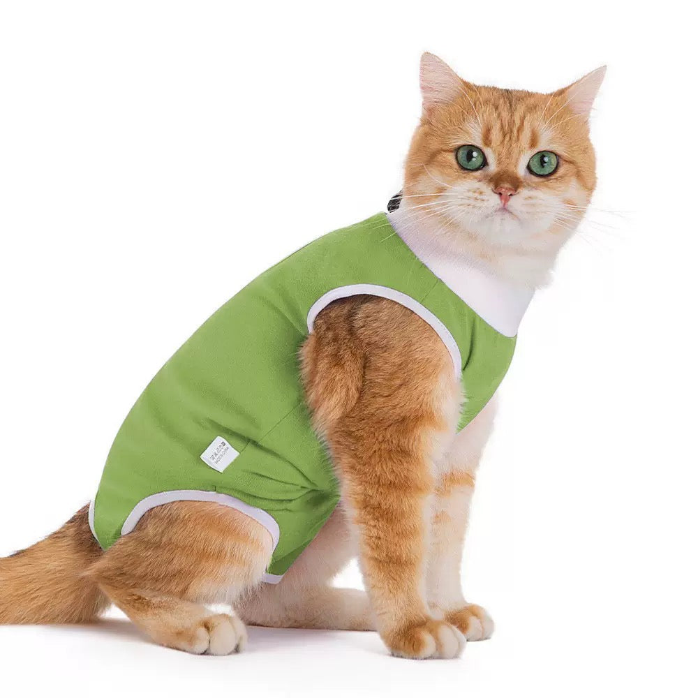 Body de convalescence vert pour chat et petit chien