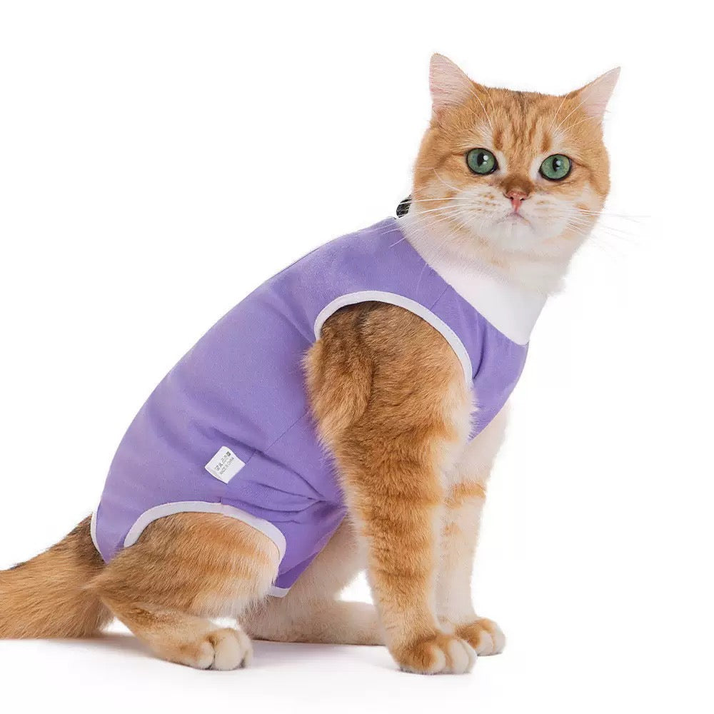 Body de convalescence violet pour chat et petit chien