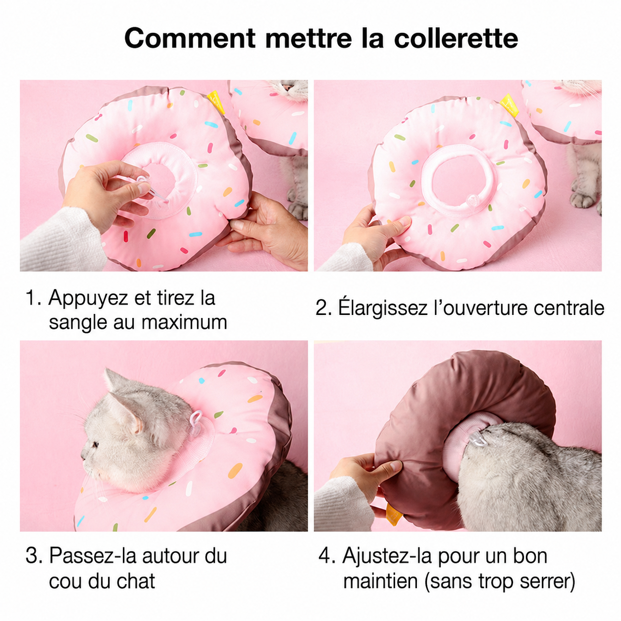 Guide Hachimi comment mettre la collerette pour chien et chats