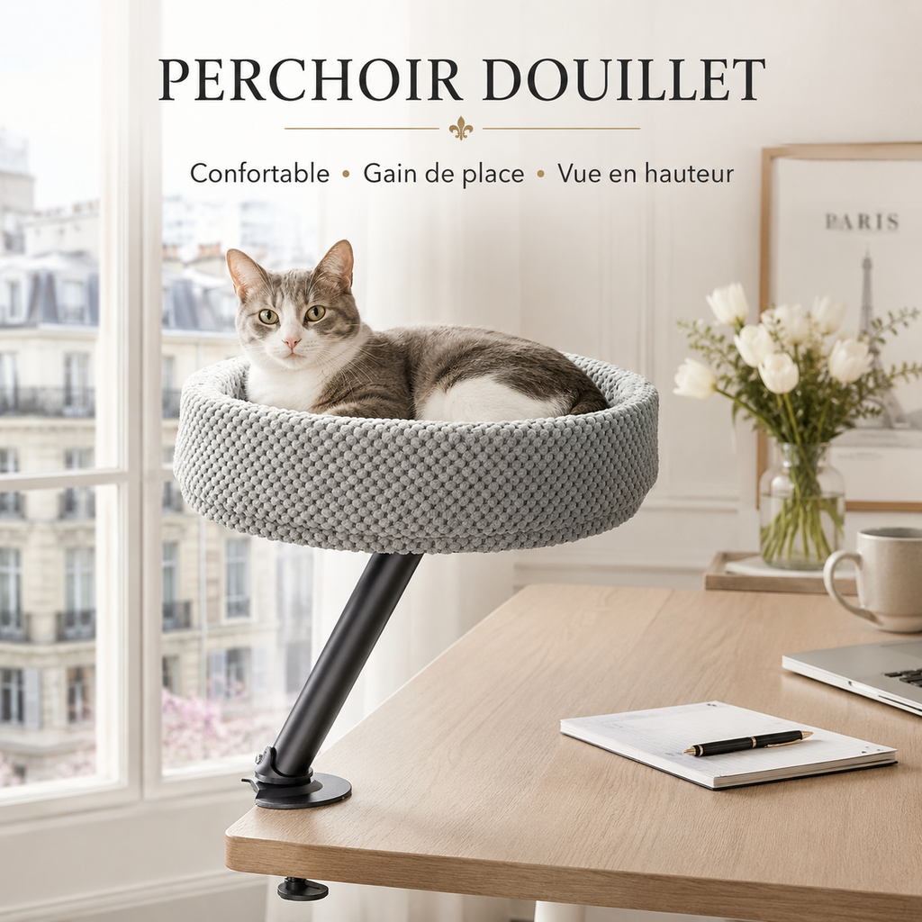 Chat installé sur le lit suspendu de bureau gris Hachimi