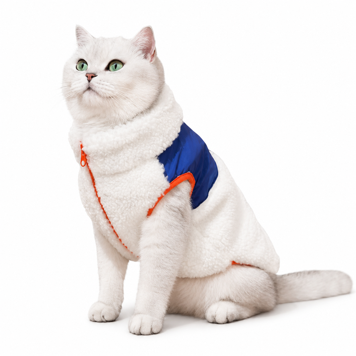 Chat portant le gilet polaire Explorateur Alpin Hachimi