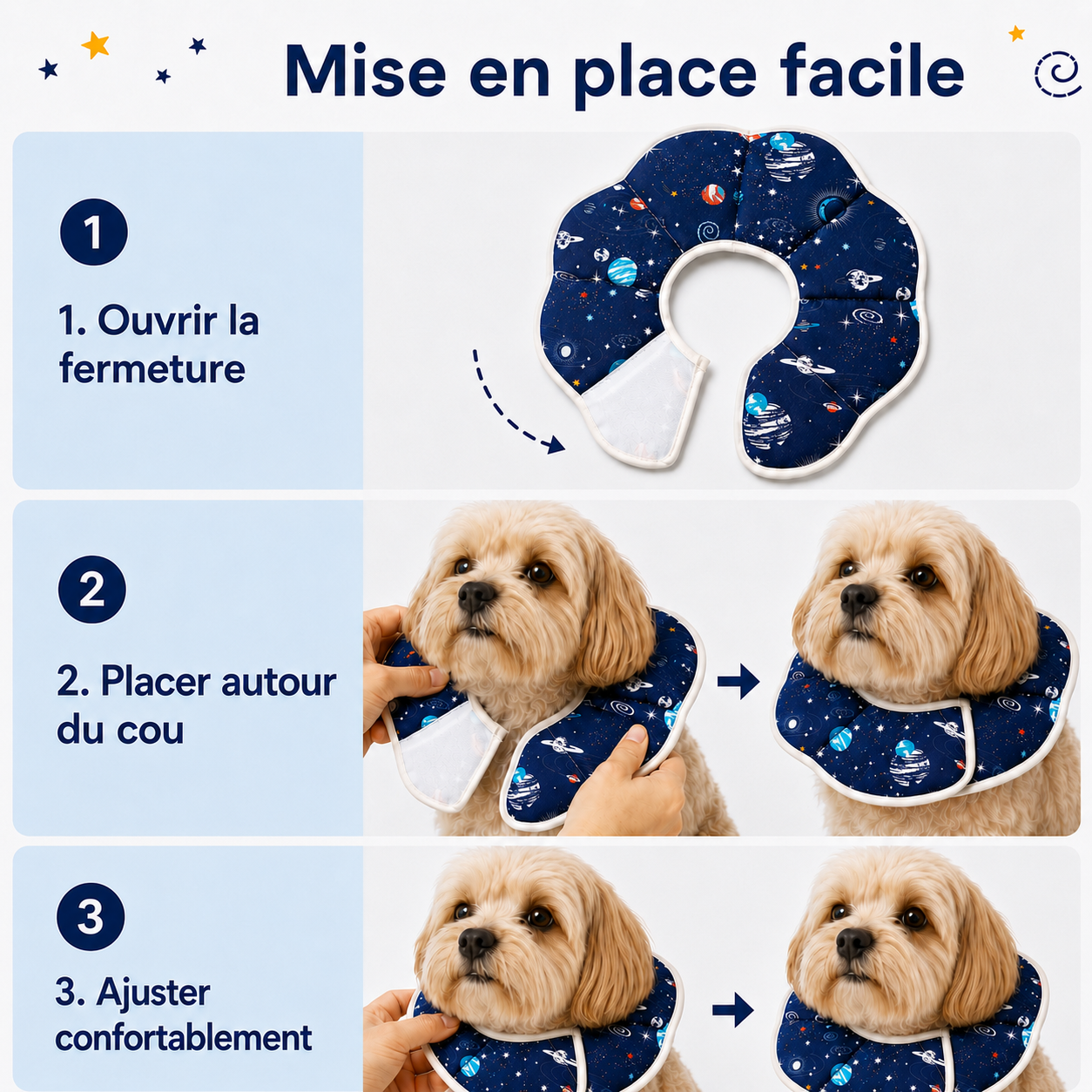 Chien portant une collerette anti-léchage Cosmos Hachimi