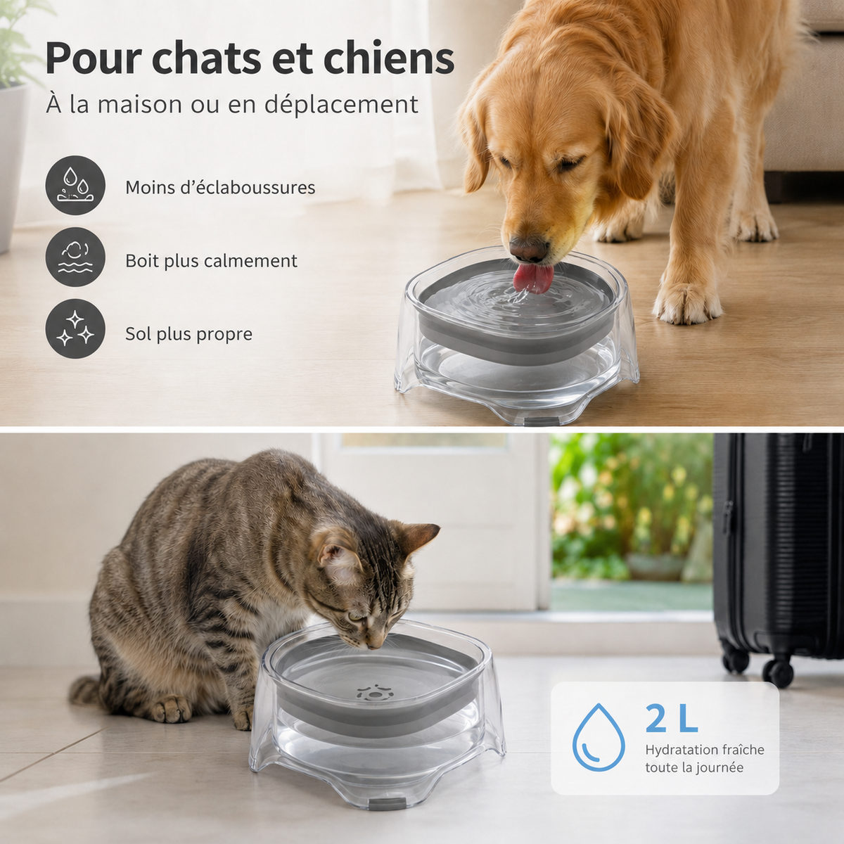 Gamelle d’eau flottante anti-éclaboussures 2 L adaptée aux chiens et chats
