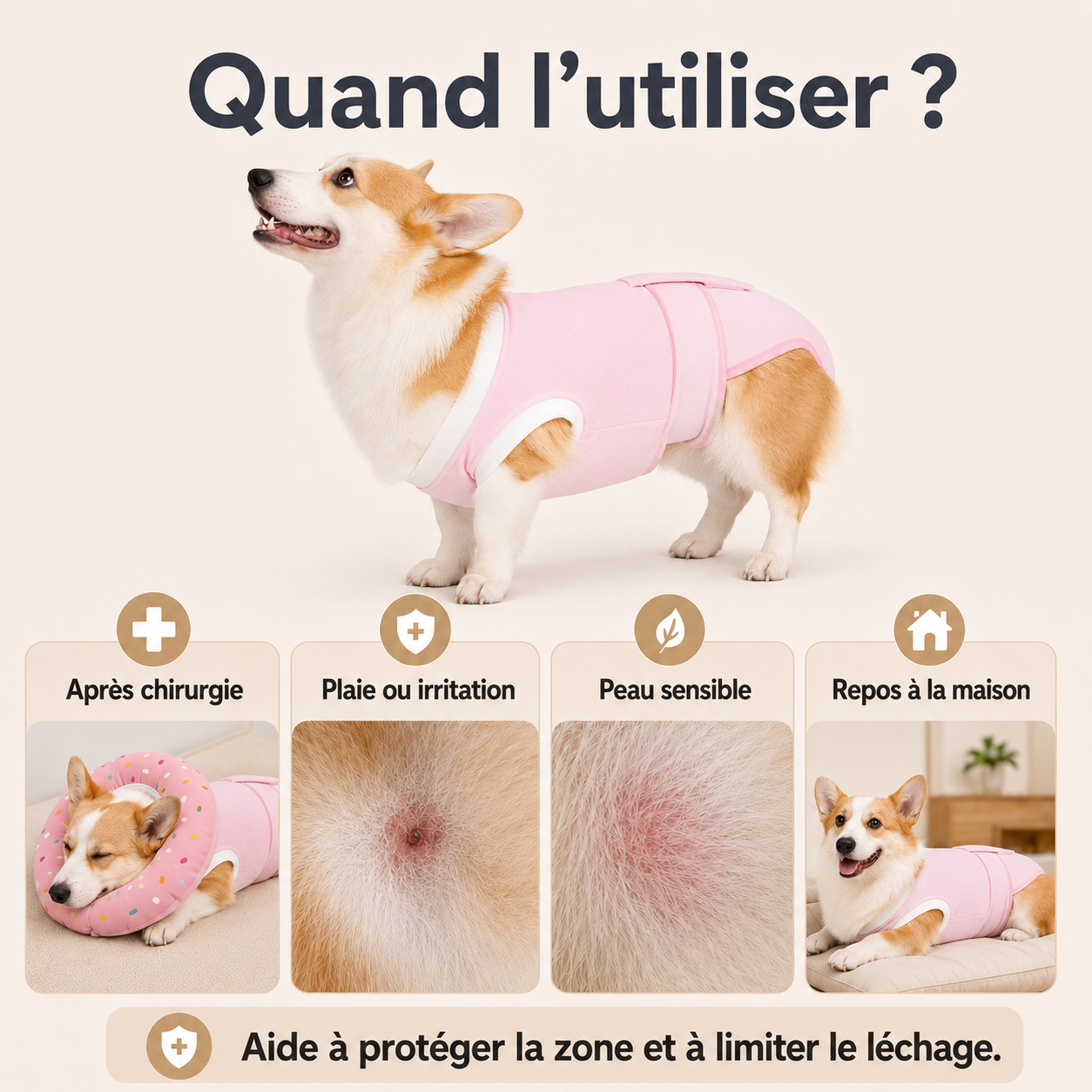 Body de Convalescence Respirant pour Chien – Anti-Léchage Post-Opératoire