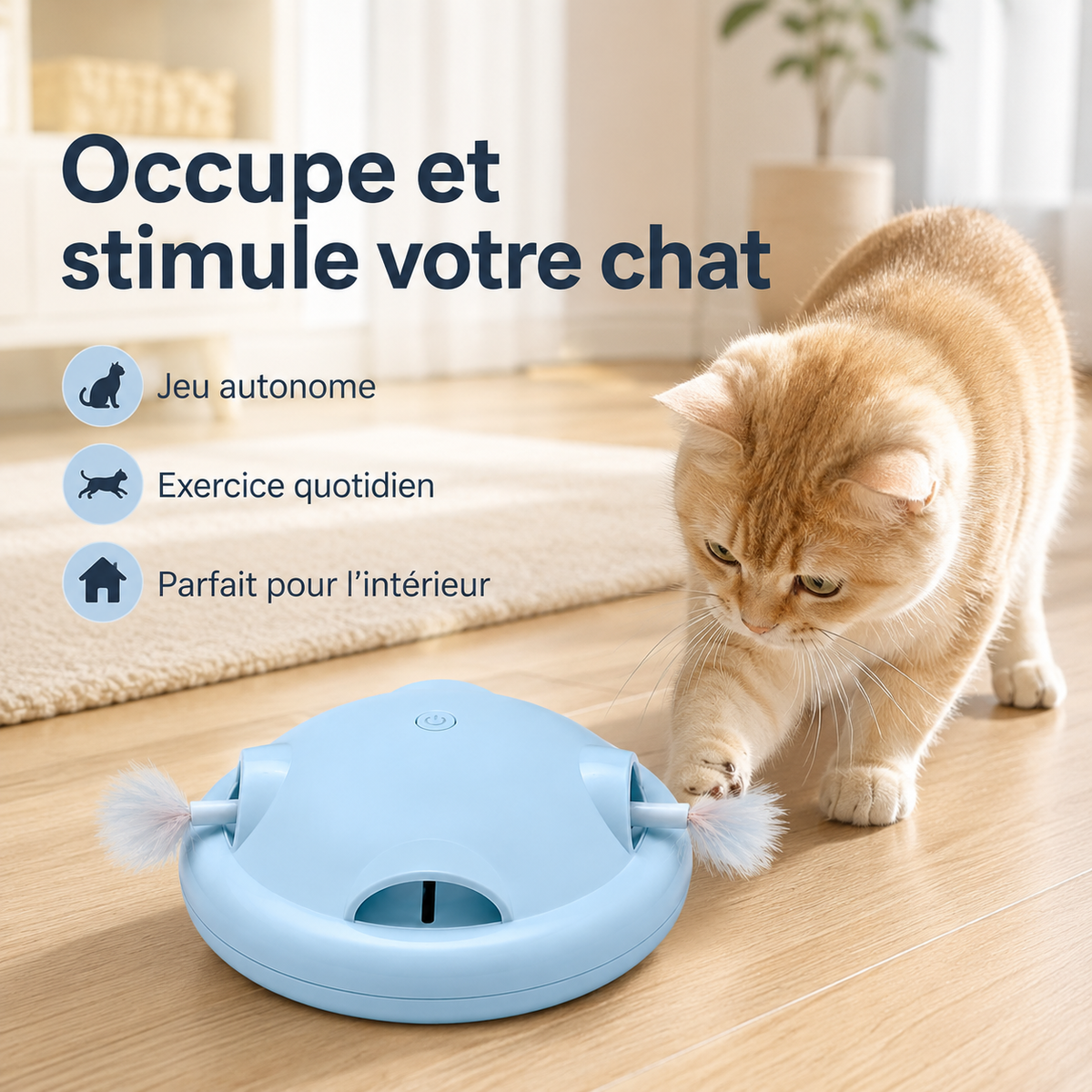 Chat jouant avec le jouet interactif UFO à plume Hachimi