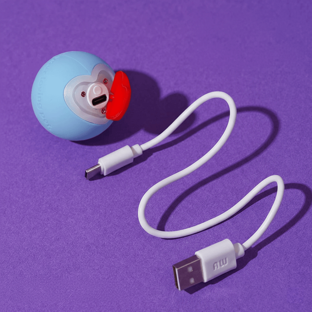 Câble de chargement USB pour balle roulante interactive