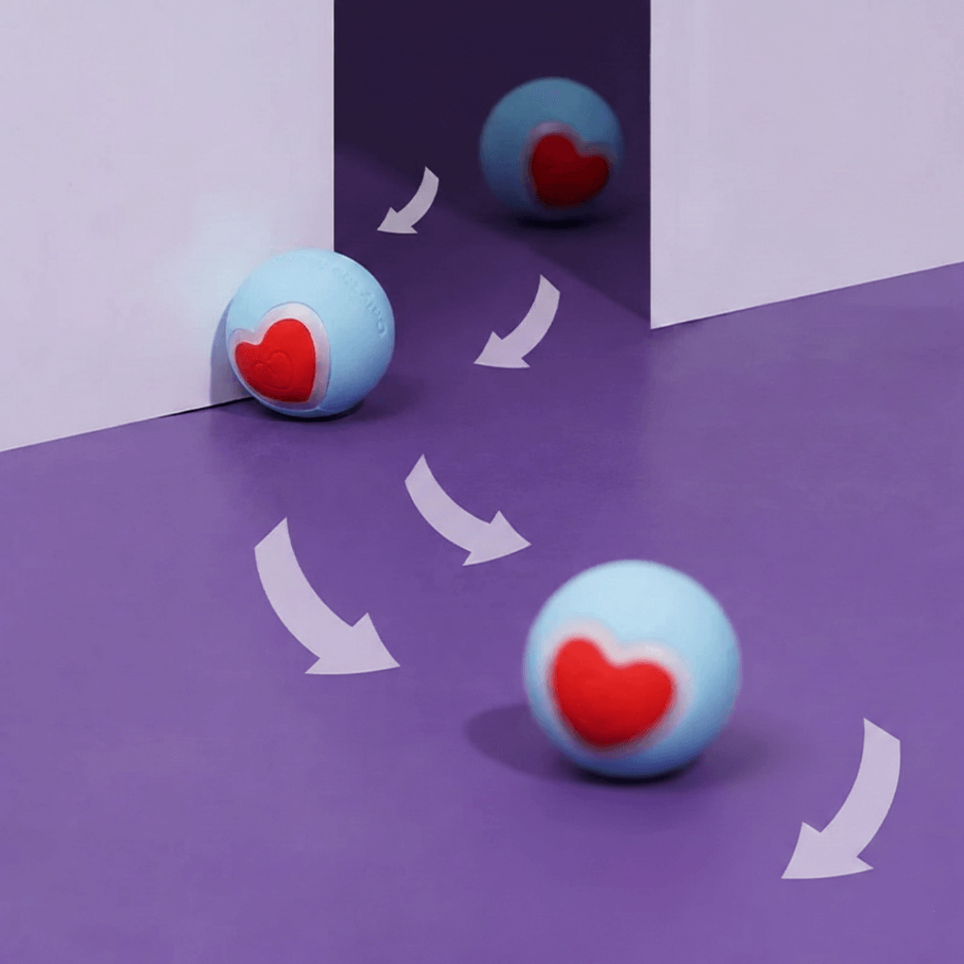 Balle interactive pour chien et chat