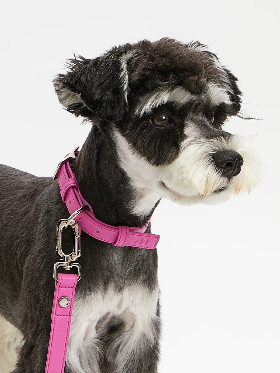 Chien portant collier SoftTouch - vue de profil
