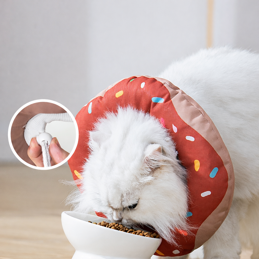 Waterproof Anti-Lick Collar for Dogs and Cats
