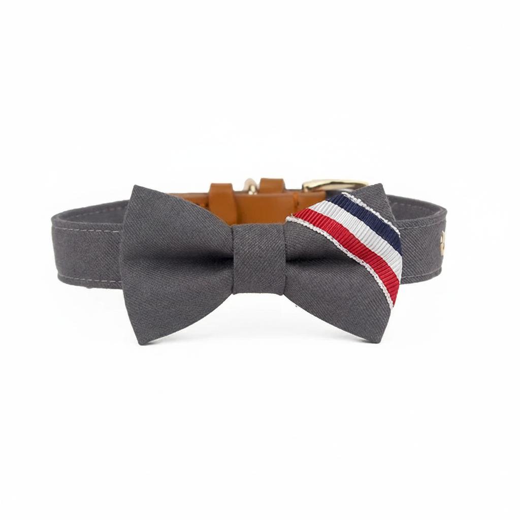 Collier Gris – Nœud Papillon à Rayures Tricolores