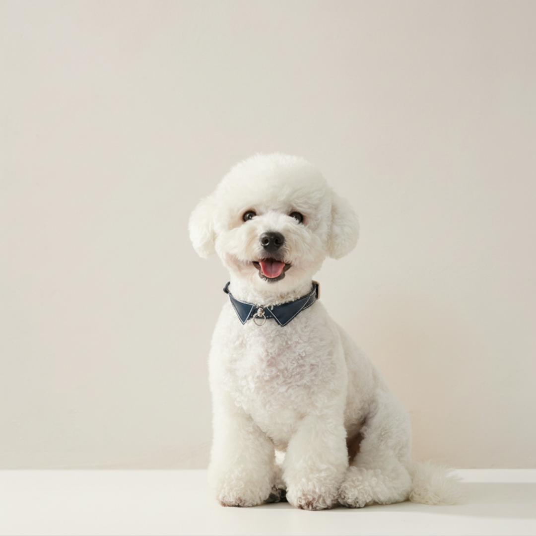 Collier Premium en Cuir PU pour Chat et Chien