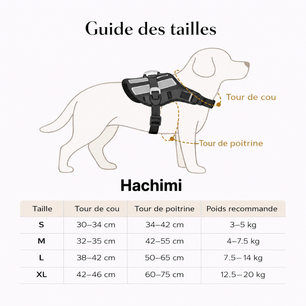 Guide des tailles Hachimi pour harnais