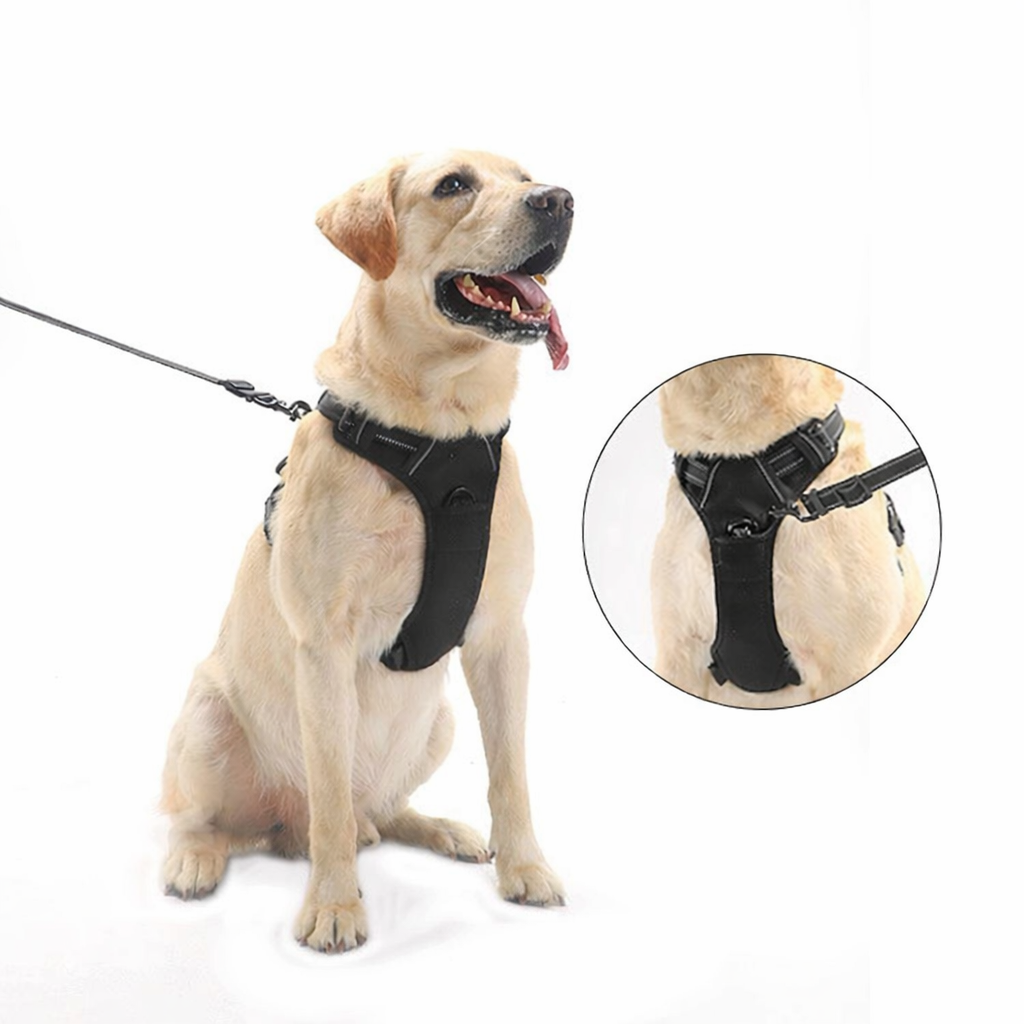 Harnais pour chien noir