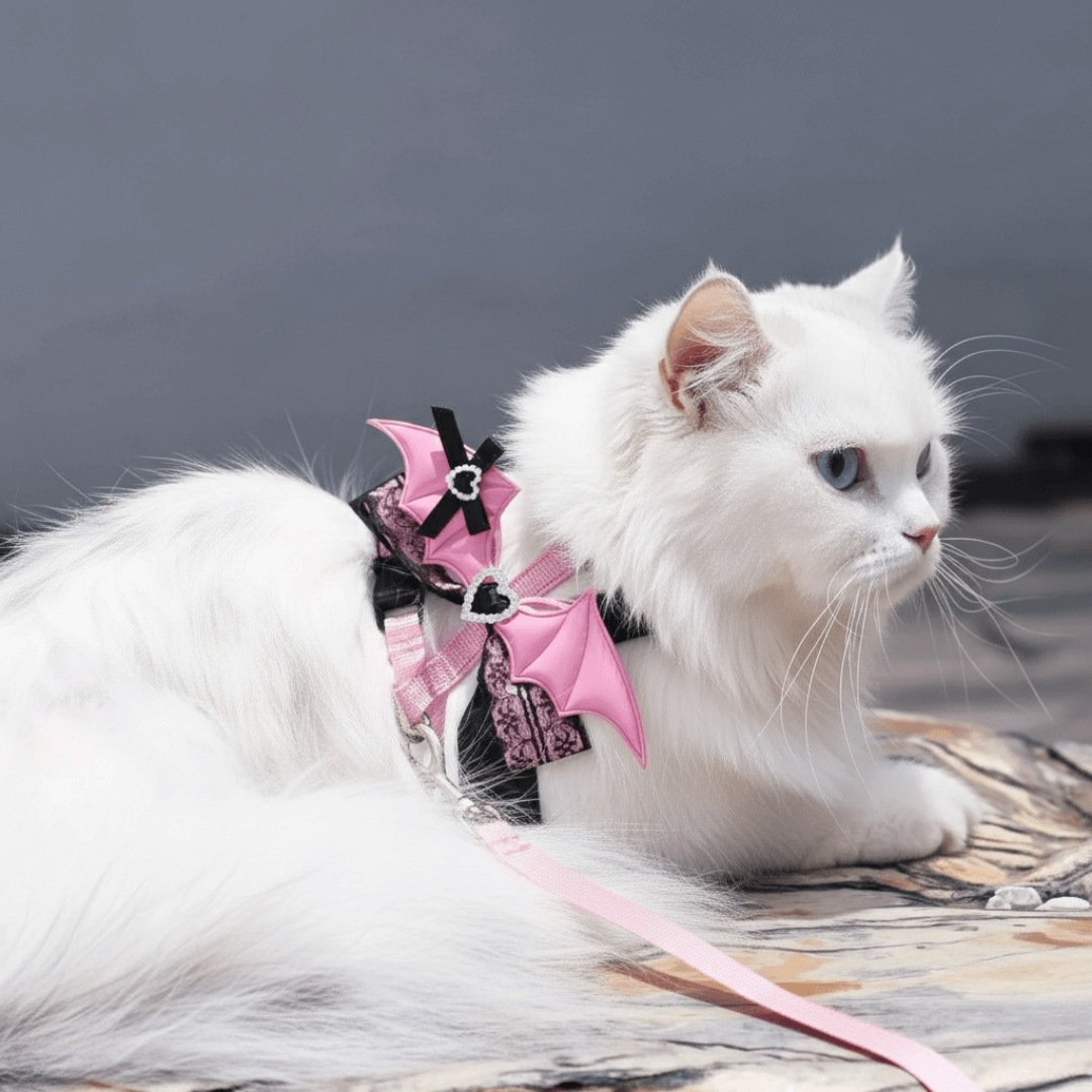 Harnais pour Petit Chien et Chat Ailes de Chauve-souris Rose & Dentelle 
