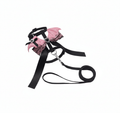 Harnais pour Petit Chien et Chat - Design Ailes de Chauve-souris Rose & Dentelle - Ensemble avec Laisse
