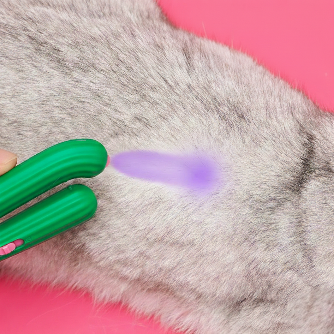 UV lumière pour chat