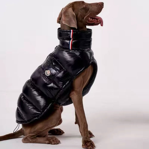 Doudoune noire matelassée pour chien – vue latérale