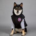 Die Pufferjacke für Hunde „Arctic Explorer“