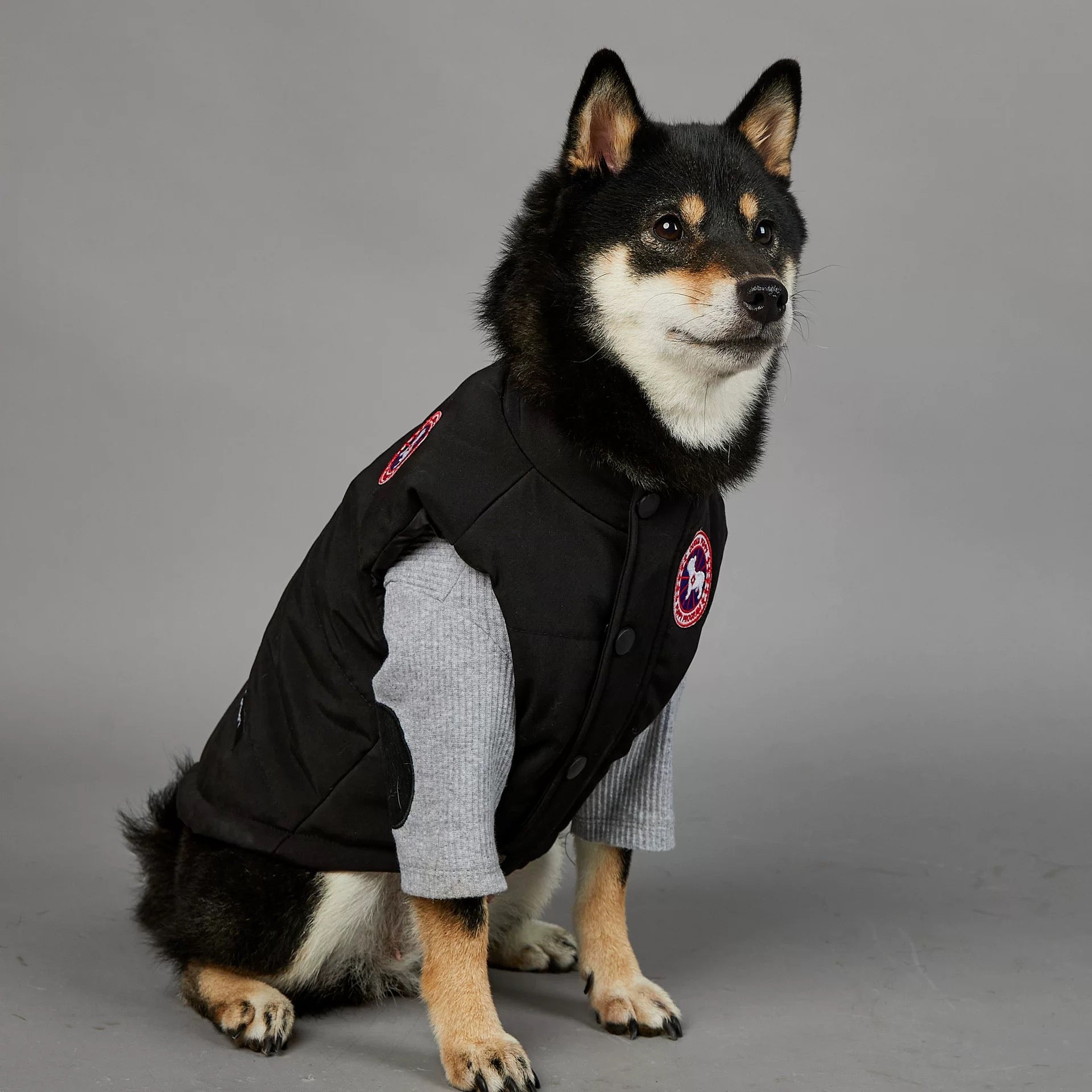 La Veste Puffer pour Chien "Arctic Explorer"