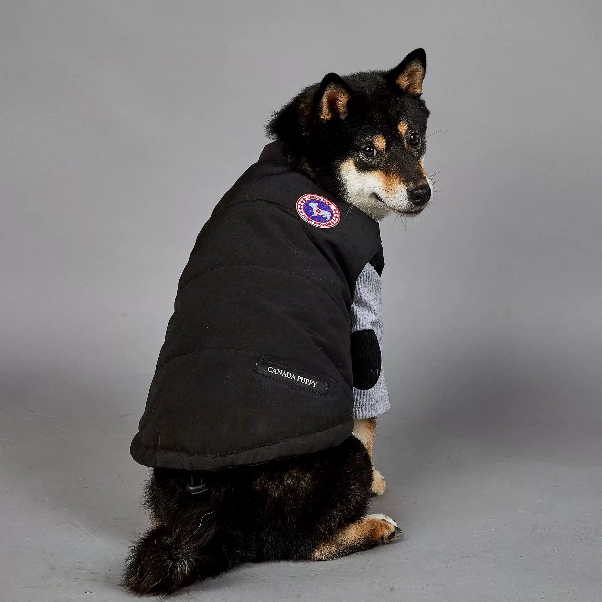 La Veste Puffer pour Chien "Arctic Explorer"