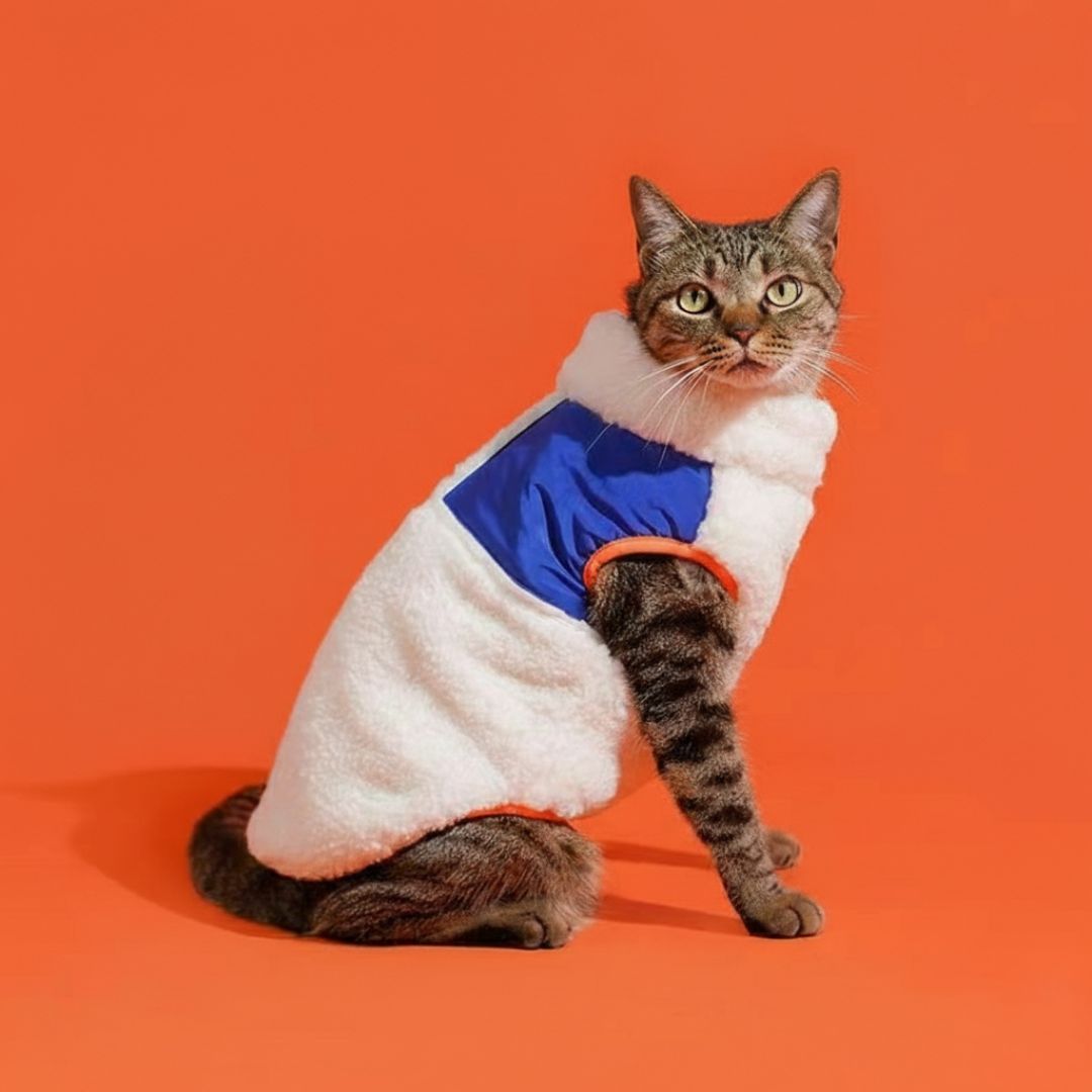 Le Gilet en Polaire "Explorateur Alpin"