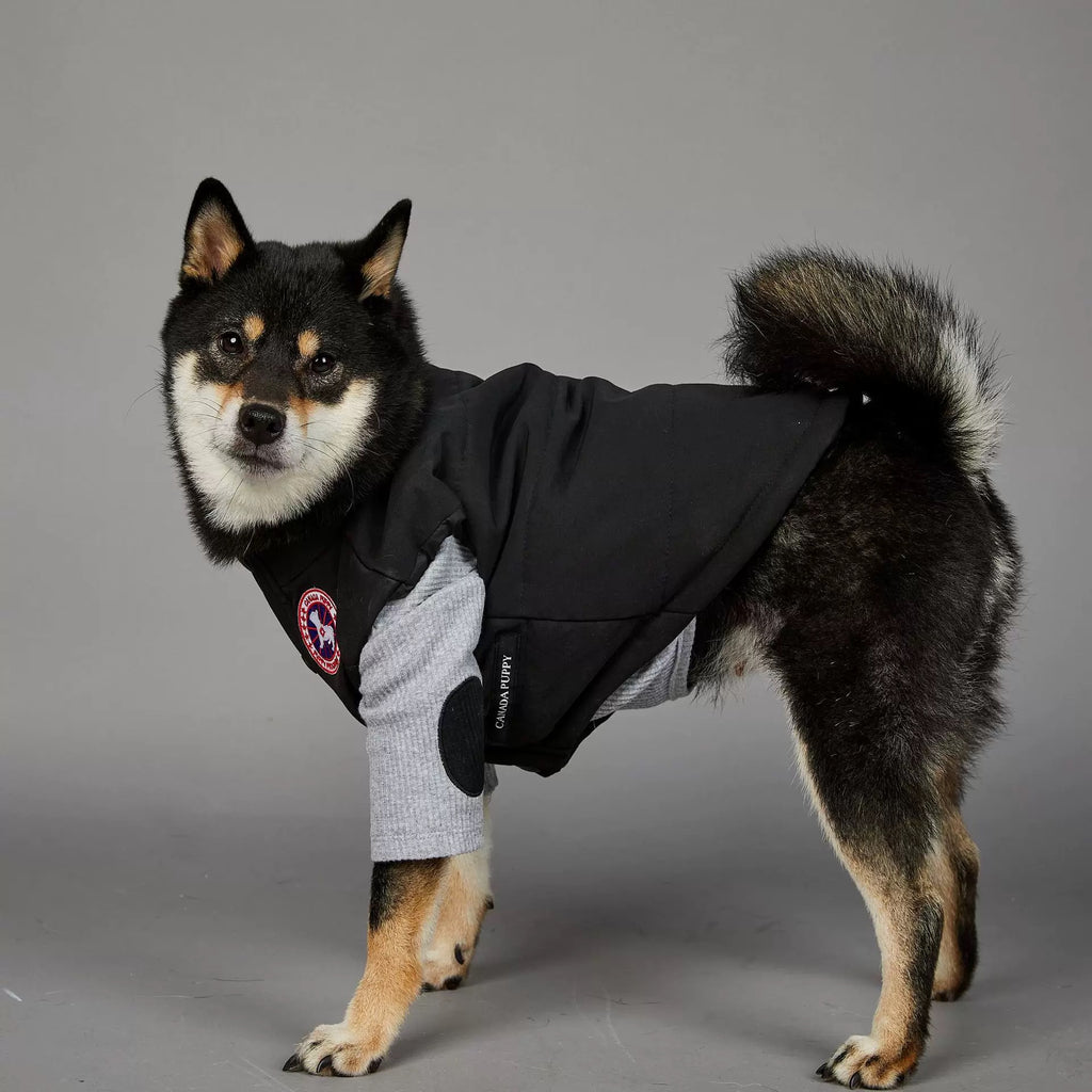 Die Pufferjacke für Hunde „Arctic Explorer“