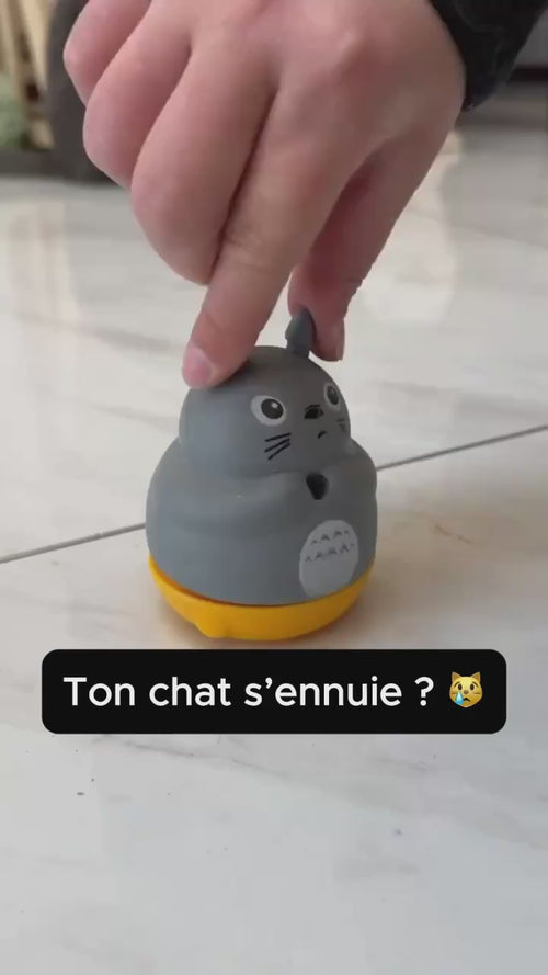 Chat jouant avec une canne interactive Hachimi en action – stimulation, jeu autonome et anti-ennui